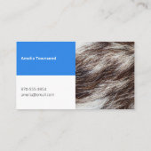 Moderner Haustier Hund Walking Bold Blue Veterinar Visitenkarte (Rückseite)