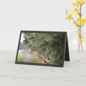 Moderner, heller Glanz in Evergreen Needles Holida Karte (Gelbe Blume)