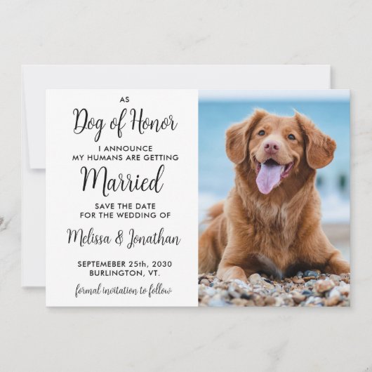 Moderner Hund für Foto Haustiere Hochzeit Save The Date (Vorderseite)