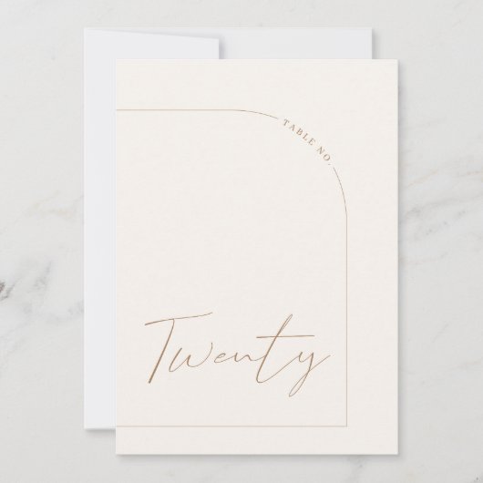 Moderner Minimalistischer Arktisch Zwanzig Tischnu Einladung (Vorderseite)