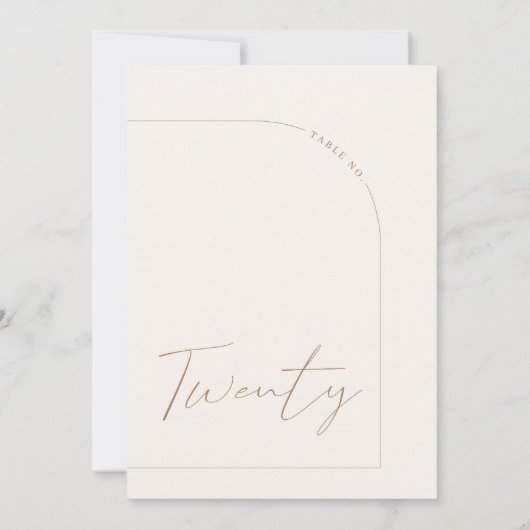 Moderner Minimalistischer Arktisch Zwanzig Tischnu Einladung (Rückseite)