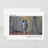 Moderner Motivierend Hund Abschluss Herzlichen Glü Postkarte (Vorne/Hinten)