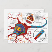 Moderner Neuronalstil Postkarte (Vorne/Hinten)