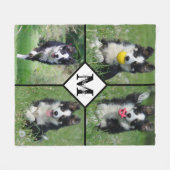 Moderner Personalisierter 4-Fotolack-Hund Fleecedecke (Vorderseite (Horizontal))