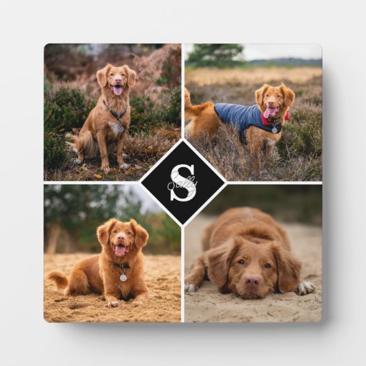 Moderner Personalisierter Fotolack-Monogramm-Begle Fotoplatte (Vorderseite)