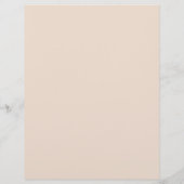 Moderner Reinigungsdienst löst den Flyer ab (Hinten)