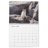 Moderner süßer lustiger Haustier Kätzchen Katzen F Kalender (Jan 2027)