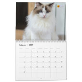 Moderner süßer lustiger Haustier Kätzchen Katzen F Kalender (Feb 2027)