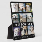 Moderner Verlust von Haustieren | Bester Hund je F Fotoplatte (Seite)