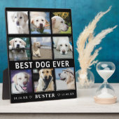 Moderner Verlust von Haustieren | Bester Hund je F Fotoplatte (Seite)