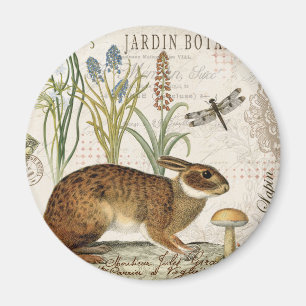 moderner vintage-französischer Hase im Garten Magnet