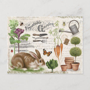 Moderner Vintage-Französischer-Landhaus-Garten-Has Postkarte