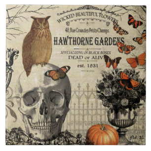 Moderner vintage Halloween-Eule und -Schädel Fliese