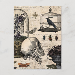 Moderner Vintage-Halloween-Garten Postkarte
