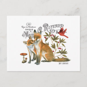 moderner vintage Wald Fuchs Postkarte