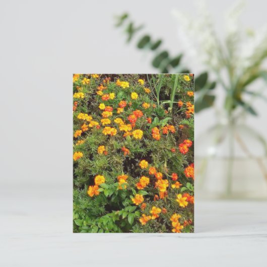 Moderner Vintager botanischer Garten Postkarte (Stehend Vorderseite)