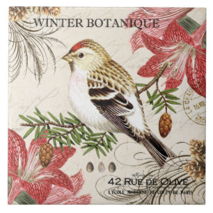 moderner Vintager französischer Wintervogel Fliese
