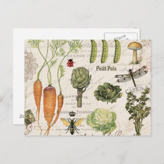 moderner Vintager Gemüsegarten Postkarte (Vorne/Hinten)