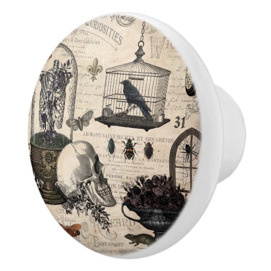 Moderner Vintager Halloween-Garten Keramikknauf (Rechts)