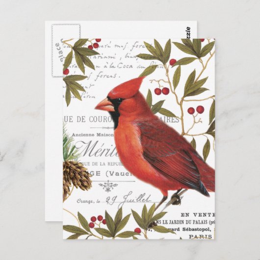 Moderner Vintager Kardinal Postkarte (Vorne/Hinten)