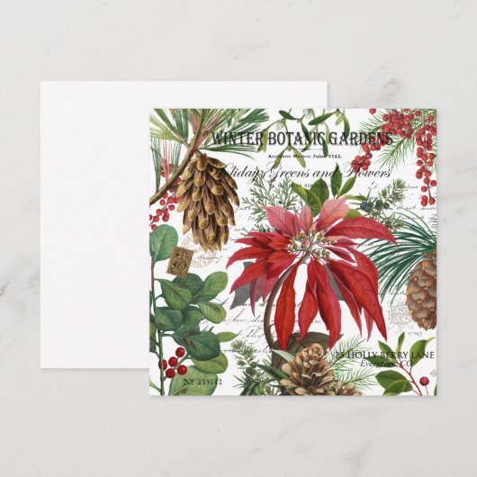 Moderner Vintager Wintergarten mit Blumen (Vorne/Hinten)