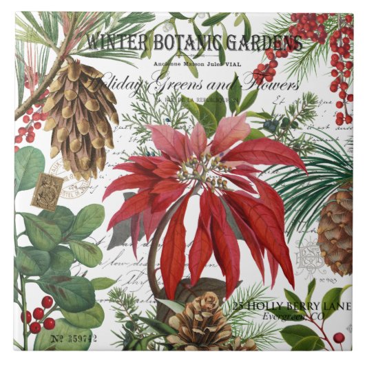 Moderner Vintager Wintergarten mit Blumen Fliese (Vorderseite)