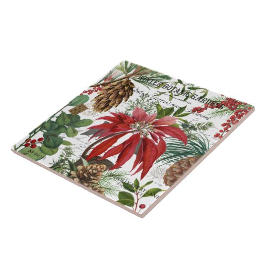 Moderner Vintager Wintergarten mit Blumen Fliese (Seite)