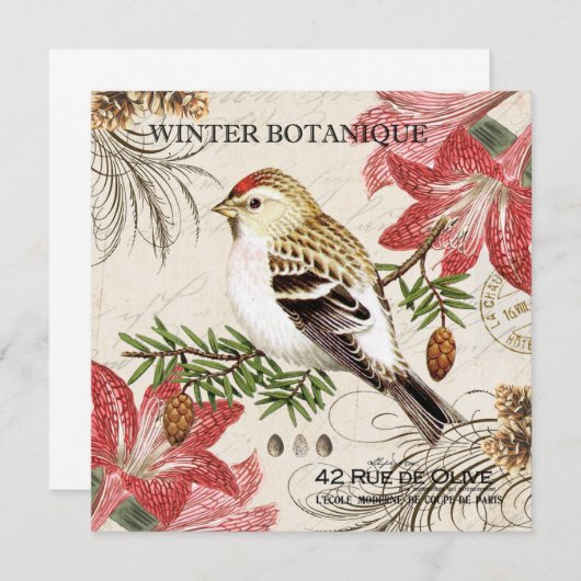 moderner Vintager Wintervogel (Vorne/Hinten)