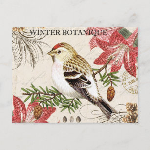 Vogel Im Winter Poster Zazzle De