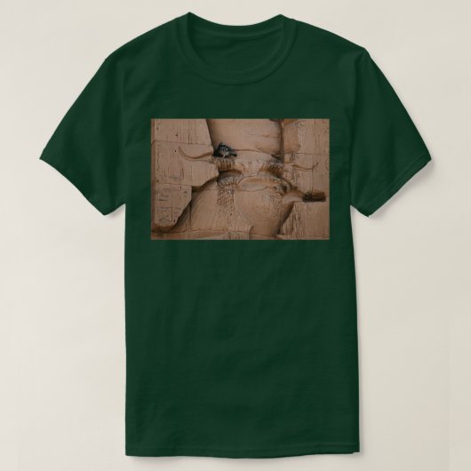 Moderner Vogel Alter Vogel T-Shirt (Design vorne)