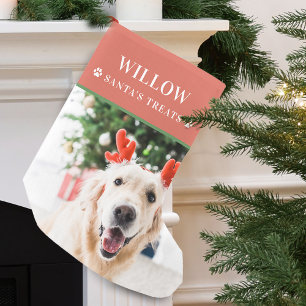 Moderner Weihnachtsfoto-Hund Kleiner Weihnachtsstrumpf