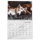 Moderner weißer Marmor - kundenspezifisches Foto m Kalender (Jan 2026)