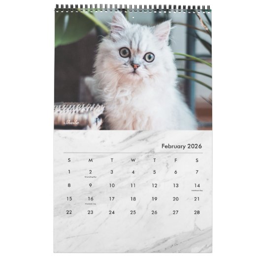 Moderner weißer Marmor - Single-Page-Foto für Haus Kalender (Feb 2026)