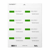 Moderner White Green Simple Consultant (Vorne)