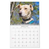Modernes 14-Foto-Personalisierte für Full Coverage Kalender (Mär 2027)