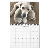 Modernes 14-Foto-Personalisierte für Full Coverage Kalender (Jan 2027)