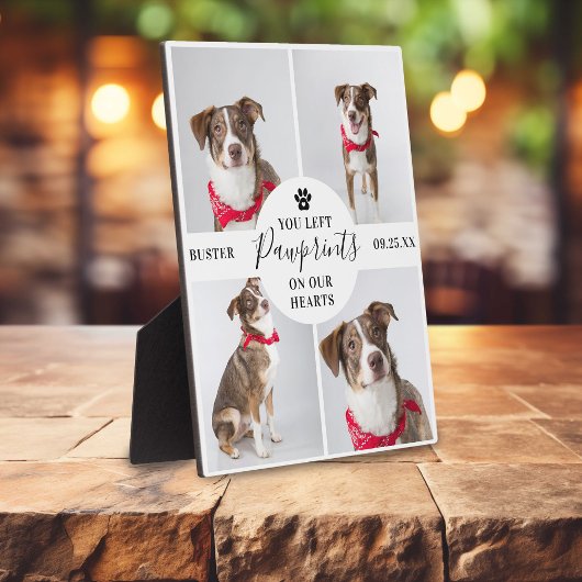 Modernes 4-Foto Collage | Hund/Katze Fotoplatte