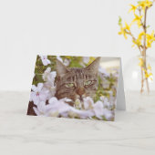 Modernes Adorable Cat Lover Garden Gruß Karte (Gelbe Blume)