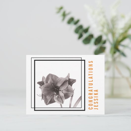 Modernes Amaryllis Blume Orange Postkarte (Stehend Vorderseite)