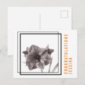 Modernes Amaryllis Blume Orange Postkarte (Vorne/Hinten)
