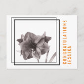 Modernes Amaryllis Blume Orange Postkarte (Vorderseite)