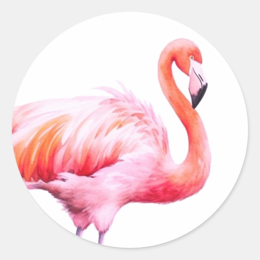 Modernes Aquarell rosa Flamingo Runder Aufkleber (Vorderseite)