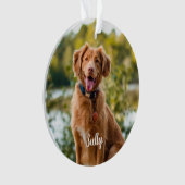Modernes Beileid Dog Foto Individuell gestaltete H Ornament (Vorderseite)