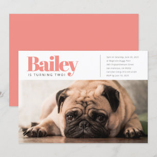 Modernes, benutzerdefiniertes Foto für Welpenhunde Einladung