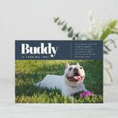 Modernes, benutzerdefiniertes Foto für Welpenhunde Einladung (Stehend Vorderseite)