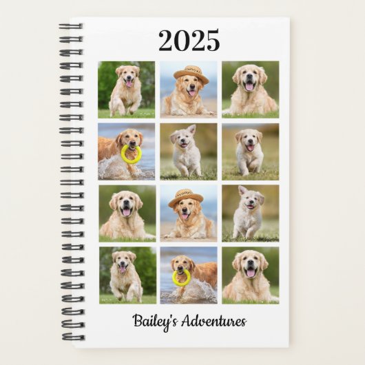 Modernes, benutzerdefiniertes Haustier Hund 12 Fot Planer (Vorderseite)