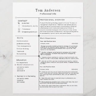 Modernes Berufliches Resume-Template