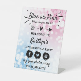 Modernes Blau oder Rosa? Party für das Geschlecht Sockelschild