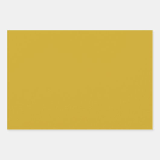 Modernes botanisches Berry-Muster Geschenkpapier Set (Vorderseite 2)