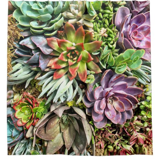 Modernes buntes saftiges Fotomuster des Chic Duschvorhang (Vorderseite)